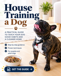 House Traing A Dog
